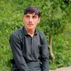 arshid.ali.shar5
