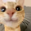 natan121269