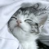 phyo.pyae.hlaing2