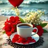 nha.phung50
