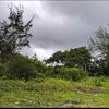 mohamad_saraie