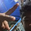 muhammadrifkirode