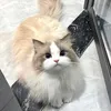mosaalsaad3
