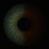 ellen_x72