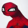 spooder_404