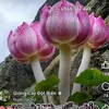 phm.khin575