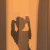 setayesh_482