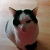 carmenbd93