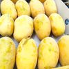 mango.man0188