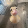ltt5no