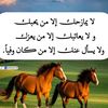 user30571999749771