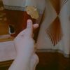 tasnim.fariha53