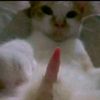 irfan_syahhhh_