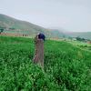 najiaamiri106
