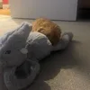 lillyellaprivv