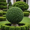 hedge trimmer