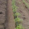 agrofuturotol
