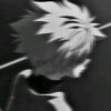 znn_170