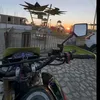 isabel.montero236