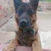 karina.barros47