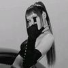 noah_8283