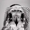 talal90601