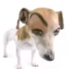 ldkldkldkldkldkldkldkldk
