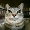 .alex1423