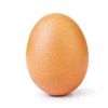 iam_egg2009