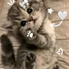 bibibi0410