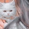 mano_attitude32