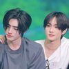 roya_n7