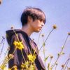 sun_glitter_j