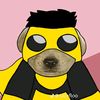 minionsito_4911