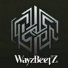 wayzbeattheproduc