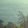 zen.iiaa