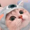 qunh.l.ngc.ngn