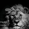 the.lion1874