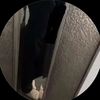 ellie.42964