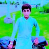 shano.s.a2