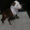user5845609070990