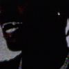 insertusername078