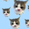 .orng______3
