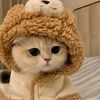 royal.myat1