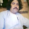 zin.gul0