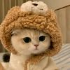 fadli.m271