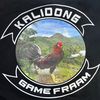 KALIDONG game fram