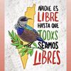 juan.ma481
