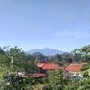 ngamengitar