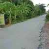 coca69258
